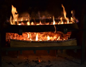 President of Texas Fireframe Company Serves on American Institute of Physics Development Board