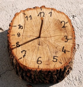 What To Do While Waiting For Your Fireplace Grate to Arrive